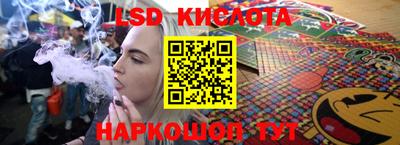 стаф Берёзовский