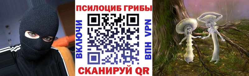 Псилоцибиновые грибы Cubensis  Гулькевичи 