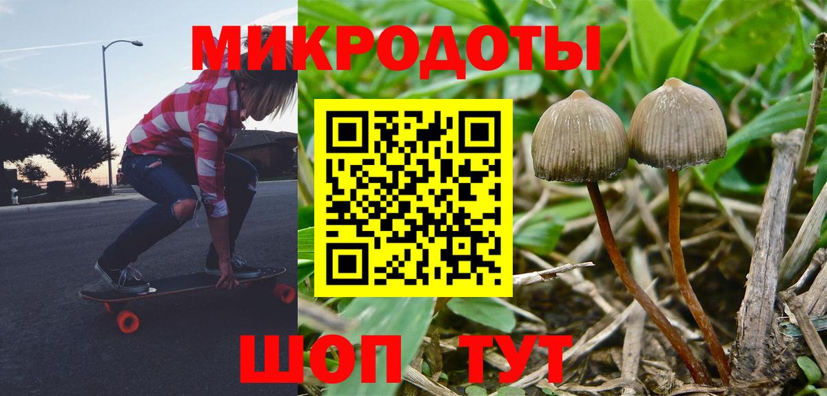 Галлюциногенные грибы Psilocybine cubensis  Гулькевичи 