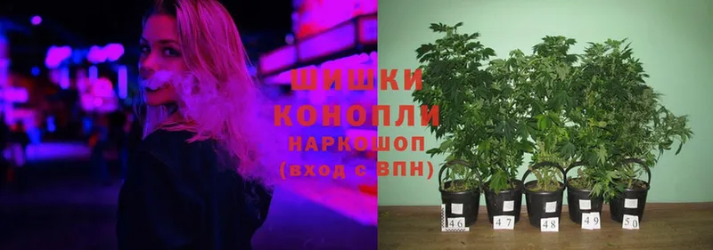 где купить   Гулькевичи  Каннабис OG Kush 